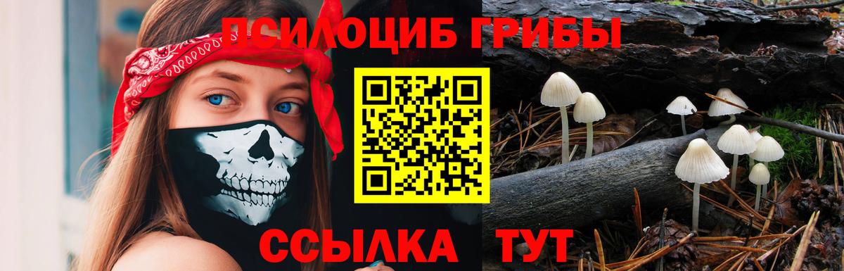 Галлюциногенные грибы MAGIC MUSHROOMS Стерлитамак